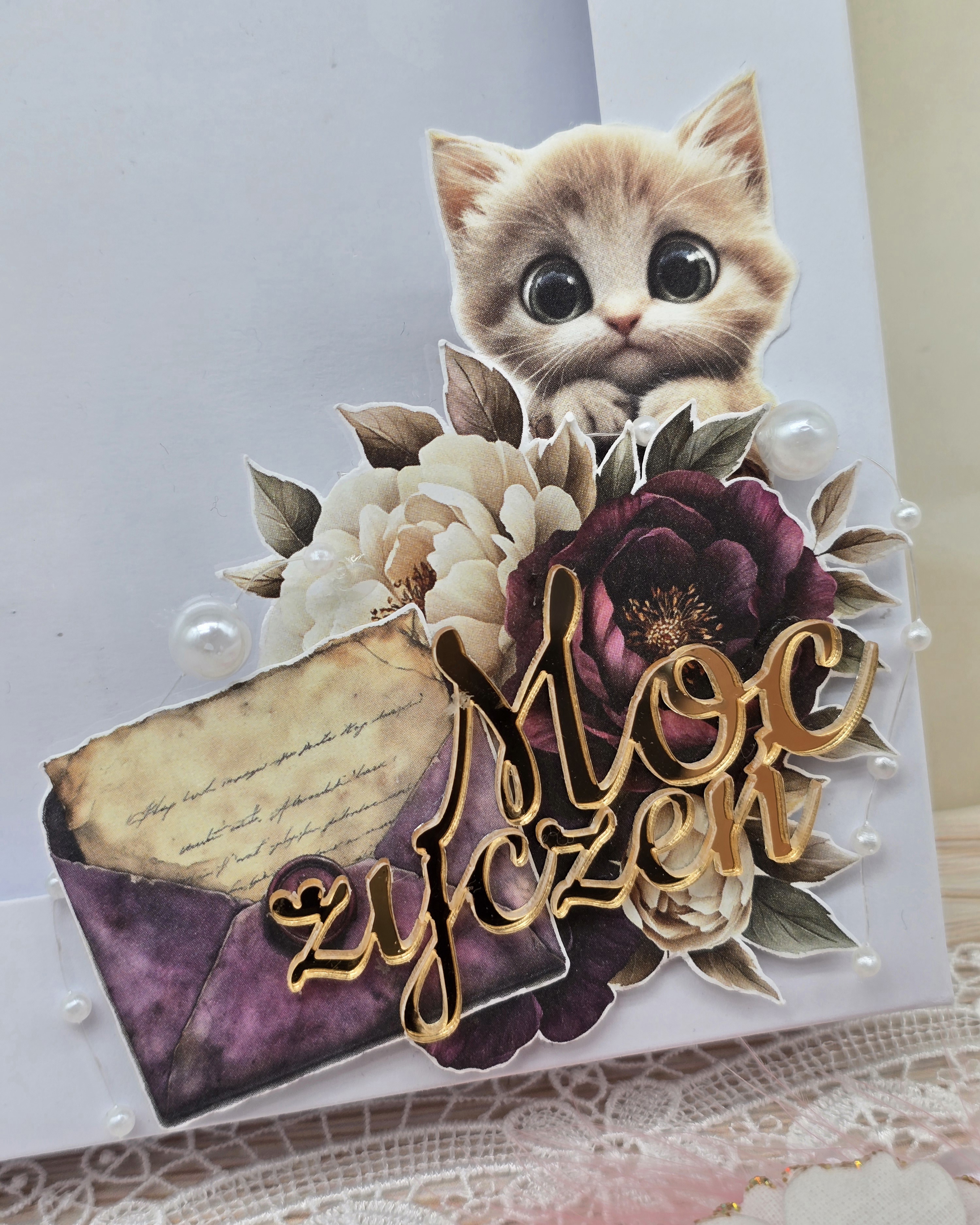Zbliżenie na zdobienie pudełka i grafiki: Plum & Caramel i Creative Extras Dogs, Cats